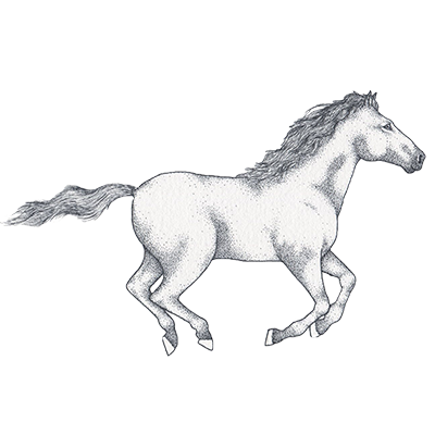 Horse Horoscope