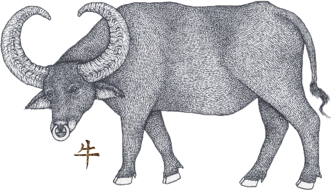 Ox Horoscope