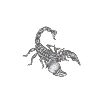 Scorpio Horoscope
